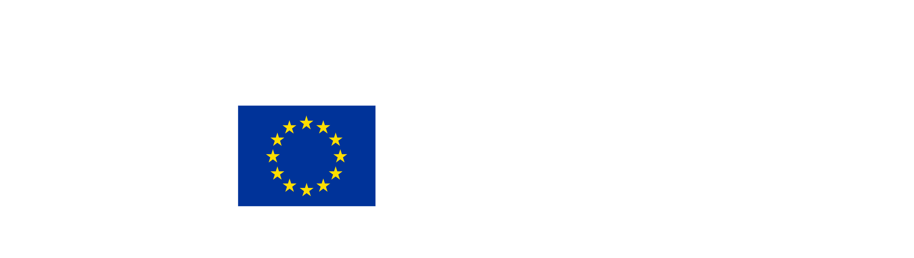 EU Logo
